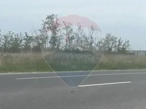 Teren 2,500mp Garoafa / DN E85 - imagine 4