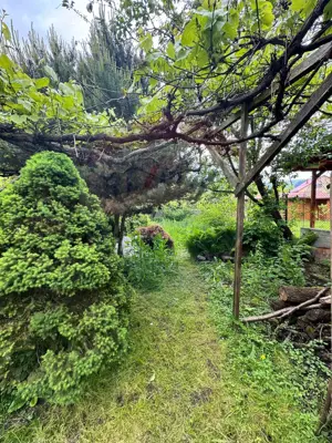 Casă / Vilă cu 3 camere de vânzare în zona Vest - imagine 6