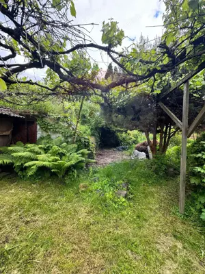 Casă / Vilă cu 3 camere de vânzare în zona Vest - imagine 5