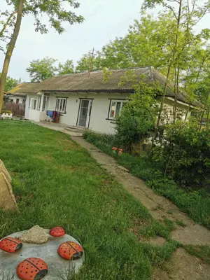 Casa cu teren intravilan -Seliste-Botoșani, com. MILEANCA - imagine 7