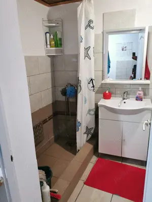 Casa cu teren intravilan -Seliste-Botoșani, com. MILEANCA - imagine 4