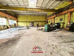 Hale industriale in Campina--200e mp - imagine 5