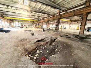 Hale industriale in Campina--200e mp - imagine 8