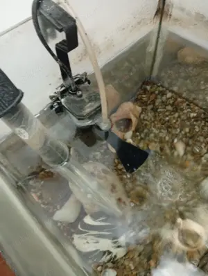 Acvariu pești 60 l - imagine 4