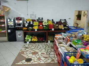 Spatiu Comercial 100 mp Triaj - imagine 2