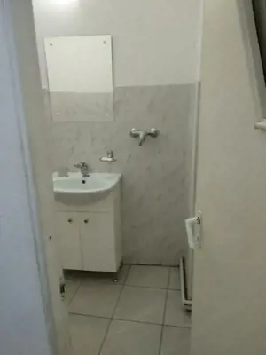 Spatiu Comercial 100 mp Triaj - imagine 7