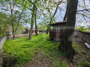 Padure in Barnova 1800 mp + 600 mp teren  pentru casa - imagine 4