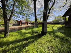 Padure in Barnova 1800 mp + 600 mp teren  pentru casa