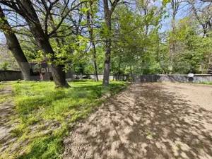 Padure in Barnova 1800 mp + 600 mp teren  pentru casa - imagine 2