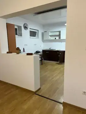 De vanzare casa individuala partial mobilata in Sanmihaiu Roman  - imagine 9