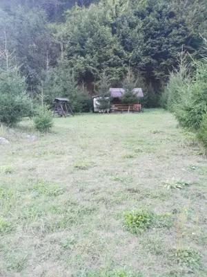Teren intravilan la munte, Cerna Sat 7 izvoare - imagine 10