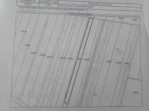 Teren 12500mp, intravilan 3000mp cu hala 216mp cu fundatie solida si extravilan 9500mp - imagine 2