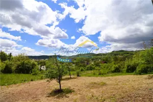 Teren Intravilan de vanzare, Cornu de Jos Prahova