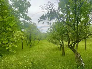 Teren intravilan Sotrile 6762 mp – Investitie, camping, agroturism - imagine 2