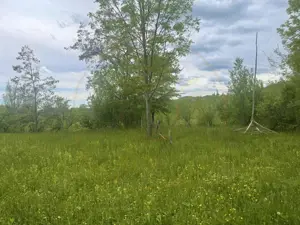 Teren intravilan Sotrile 6762 mp – Investitie, camping, agroturism - imagine 5