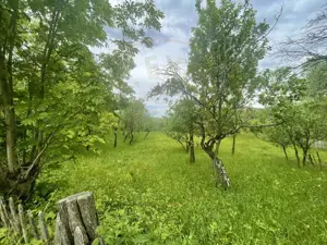 Teren intravilan Sotrile 6762 mp – Investitie, camping, agroturism