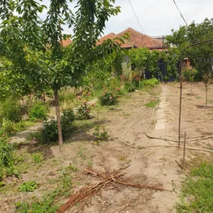 Casă de vânzare în Craiova pe Râului, teren mare - imagine 5