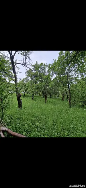 Teren cu casă de vânzare - imagine 8