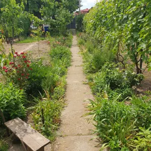 Casă de vânzare în Craiova pe Râului, teren mare - imagine 4