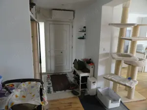 Vila P+M, locatie excelenta, in zona Poltura - imagine 4