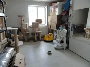 Vila P+M, locatie excelenta, in zona Poltura - imagine 13