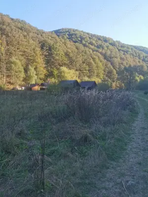 Teren intravilan la munte, Cerna Sat 7 izvoare - imagine 11