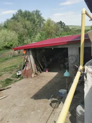 Casa S+P+E Orzeni Holboca, 199000 euro  - imagine 7