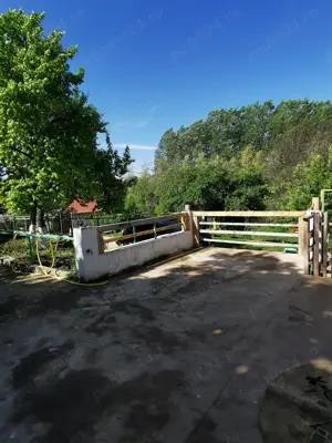 Casa S+P+E Orzeni Holboca, 199000 euro  - imagine 5