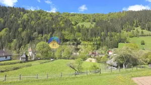 CASA traditionala BICAZU ARDELEAN + teren extravilan 1,6 hectare - imagine 6