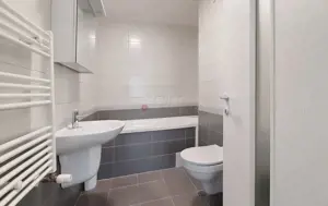 Ideala pentru investitie - imagine 8