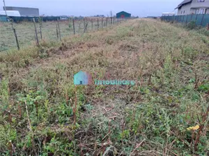 Teren intravilan 2700 mp Dumbraveni - imagine 6