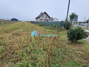 Teren intravilan 2700 mp Dumbraveni - imagine 3