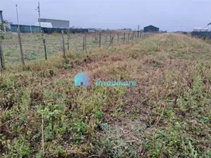 Teren intravilan 2700 mp Dumbraveni