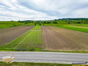 FILM! Teren intravilan industial, cu PUZ si acces la DJ112, Sfantu Gheorghe - imagine 7