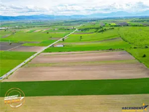 FILM! Teren intravilan industial, cu PUZ si acces la DJ112, Sfantu Gheorghe - imagine 6