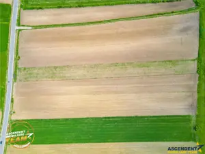 FILM! Teren intravilan industial, cu PUZ si acces la DJ112, Sfantu Gheorghe - imagine 2