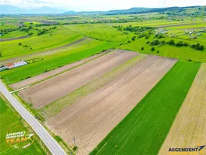 FILM! Teren intravilan industial, cu PUZ si acces la DJ112, Sfantu Gheorghe - imagine 5