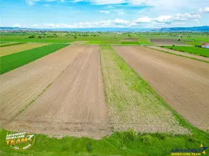 FILM! Teren intravilan industial, cu PUZ si acces la DJ112, Sfantu Gheorghe - imagine 4