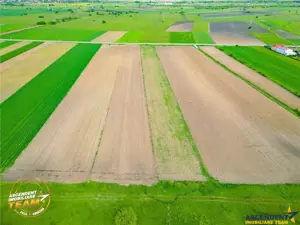 FILM! Teren intravilan industial, cu PUZ si acces la DJ112, Sfantu Gheorghe - imagine 8