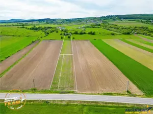 FILM! Teren intravilan industial, cu PUZ si acces la DJ112, Sfantu Gheorghe