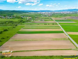 FILM! Teren intravilan industial, cu PUZ si acces la DJ112, Sfantu Gheorghe - imagine 3