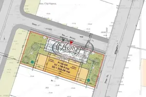 Duplex premium si FINISAT pe Mihai Romanu - imagine 10