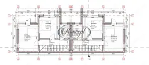 Duplex premium si FINISAT pe Mihai Romanu - imagine 9