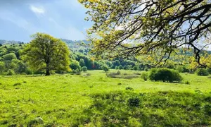 TEREN POTENTIAL TURISTIC - Rasnov - Cheisoara