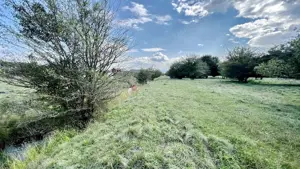 Teren Extravilan - imagine 4 Teren Extravilan - imagine 4