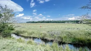 Teren Extravilan - imagine 7 Teren Extravilan - imagine 7