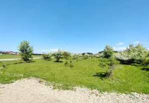 Teren Intravilan - imagine 6