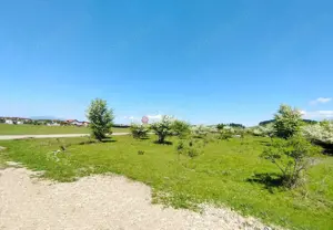 Teren Intravilan - imagine 3