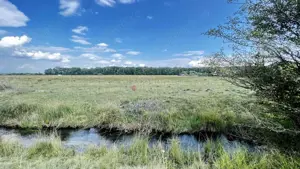 Teren Extravilan - imagine 9 Teren Extravilan - imagine 9