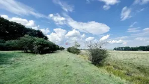 Teren Extravilan - imagine 3 Teren Extravilan - imagine 3